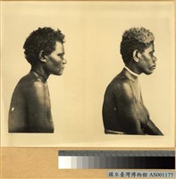 藏品(美拉尼西亞New Caledonia群島女子)的圖片